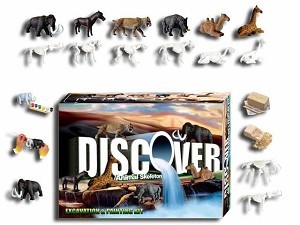 Uithakken + verven van  prehistorische dieren