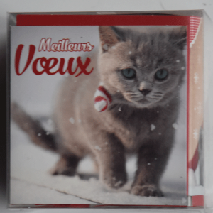 Doosje 24 kerstkaarten Poes (Frans)