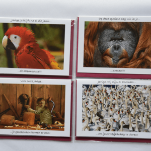 Pakketje 4 grappige dierenkaartjes, verjaardag