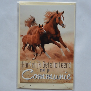 Hartelijk gefeliciteerd met je communie - Paarden